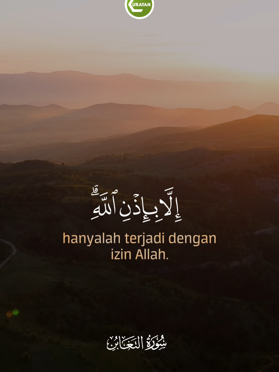 Surah At Taghabun 11-13 #qurantafseer #qurayah 