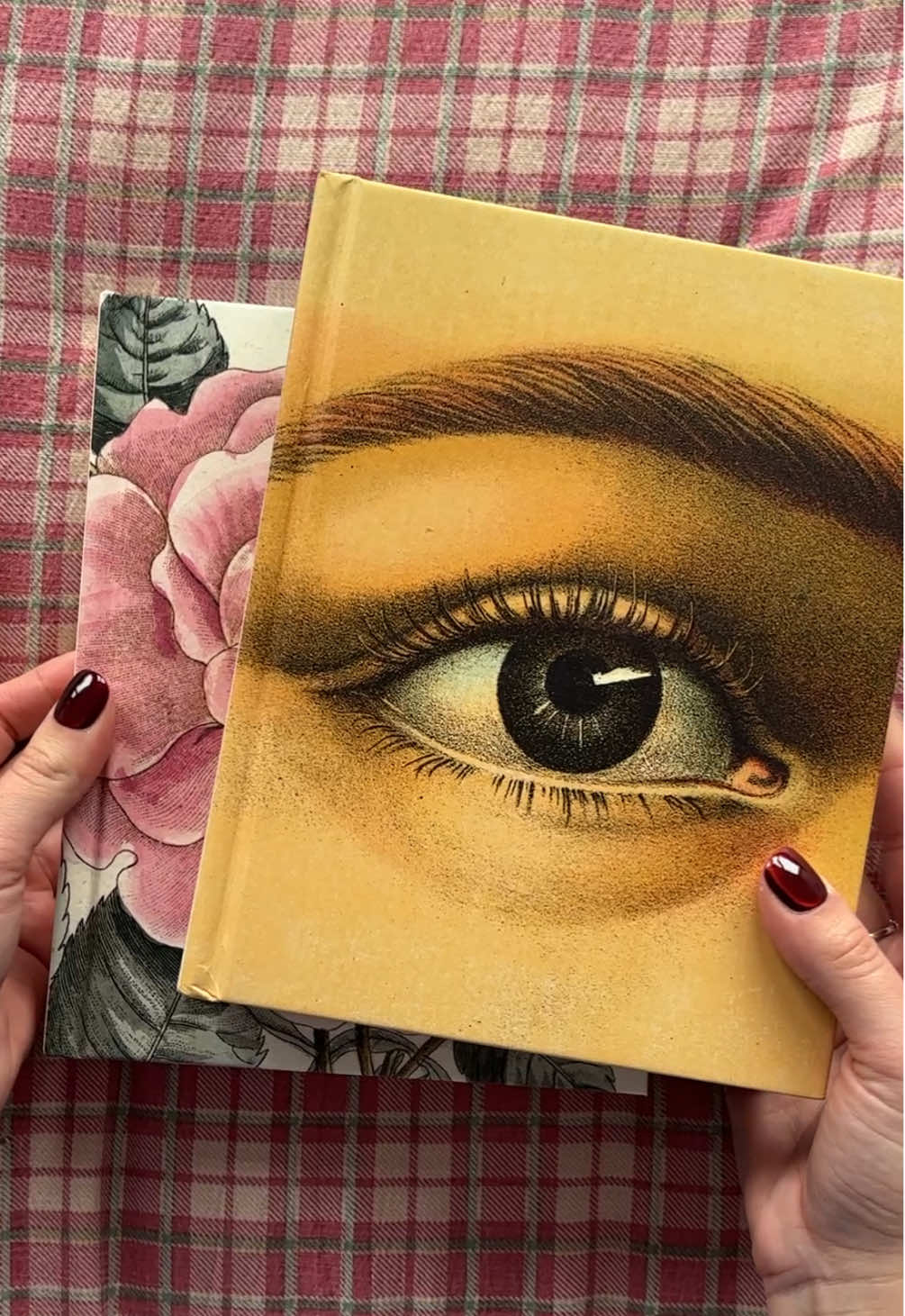 as cringe as it sounds: this is your sign to get the John Derian sticker books 🤎 I’m obsessed!!!  @John Derian Company @Thalia Bücher 