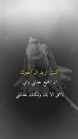 #😔💔🥀 #فراق_الحبايب💔 #عبارات_حزينه💔 #تصميم_فيديوهات🎶🎤🎬 #explore @مؤمن موسي مؤمن موسي 