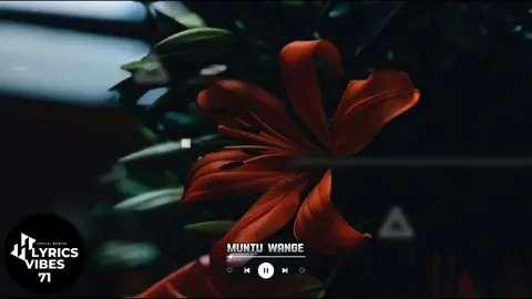 Itz me mwaniz5 #lyricsvibes71 #mwaniz5 #Nazite 