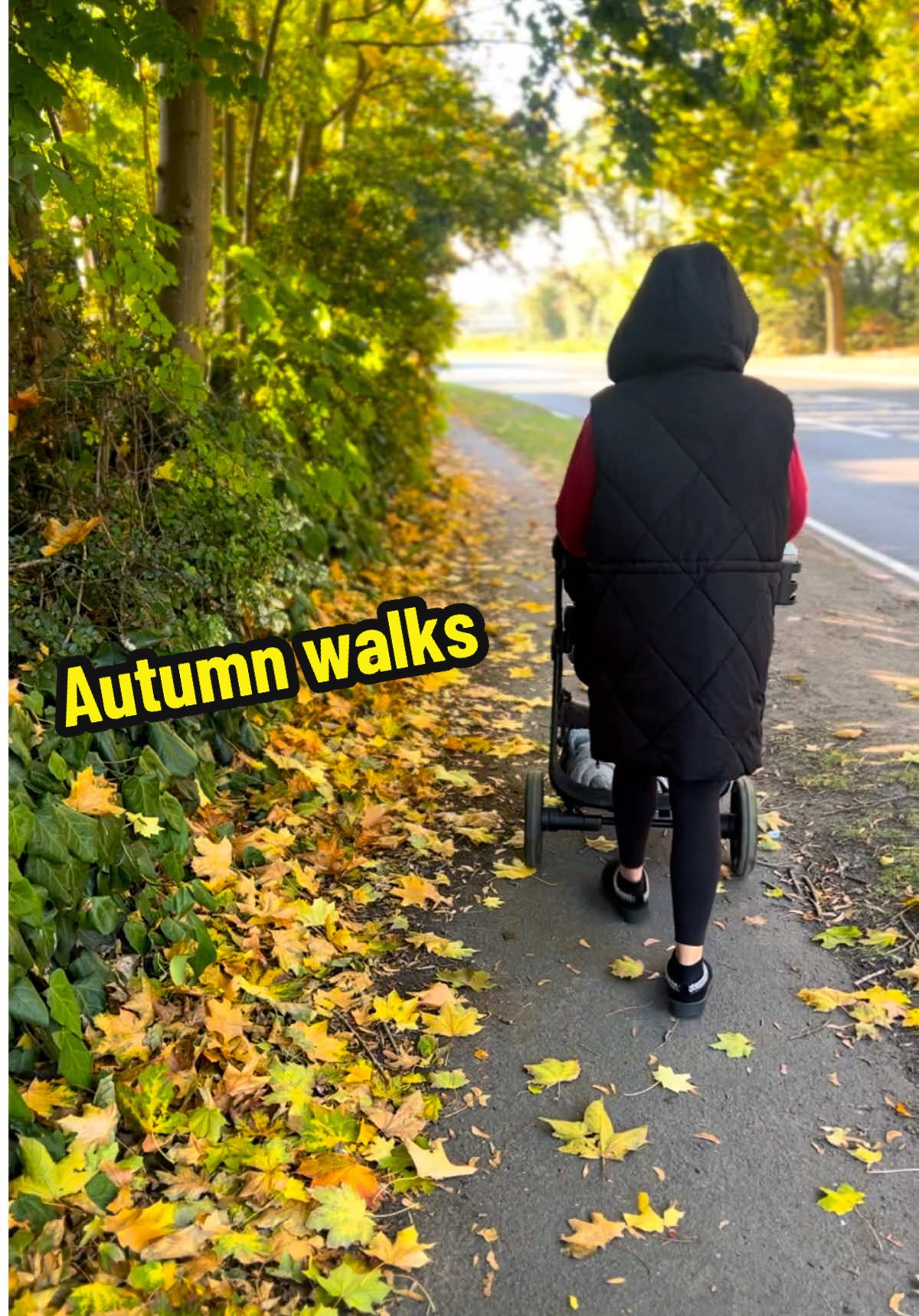 Autumn, the cosy month 💚💛🧡🤎 #autumn #fyp #fyppp #foryoupagе #nature 