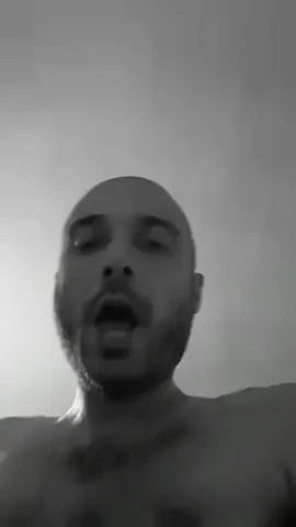 #sansarsalvo 