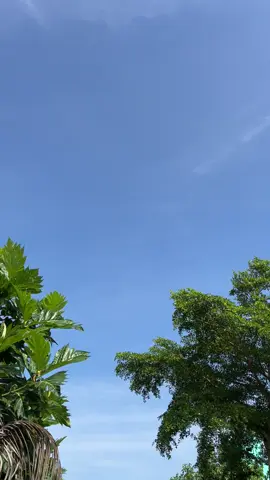 🍀Ngày thứ 13 cùng bầu trời thật là đẹp☁️#xaykenhtiktok #tapxaykenh #nguoimoixaykenh #xaykenhthanhcong 