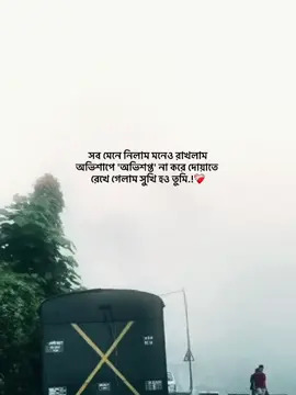 সব মেনে নিলাম মনেও রাখলাম অভিশাপে 'অভিশপ্ত' না করে দোয়াতে রেখে গেলাম সুখি হও তুমি.!❤️‍🩹 #foryou_ #foryoupage #trending_ #vairal_ #1million_tik_tok