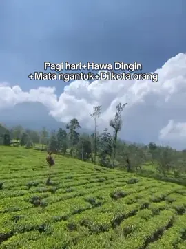 Tambi #fyp #touring #diengwonosobo #fypage #kebuntehtambi #fyppppppppppppppppppppppp #healing