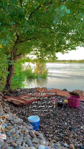 #شعر #الموصل #fyp #viral  #لايكاتكم 