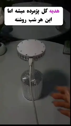 شبا با آرامش بخواب😍 با تخفیف ویژه جهت دریافت مشخصات محصول و ثبت سفارش کلمه (چراغ) رو کامنت کنید راستی اگه دنبال محصولات خاص و جدبد هستی یه سری به پیجم بزن🫠 😍 سفارش از طریق دایرکت و واتس آپ ۰۹۲۲۱۱۹۴۳۹۵  #tiktok #instagram #ترند #گجت #چراغ 