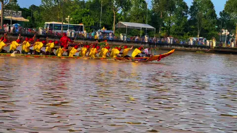 Trà tim cũ phường mỹ xuyên còn chiếc cất ở chùa nữa chưa hết đâu #phatphuong10 #phátp10 #tràtimchasp10 #p10 