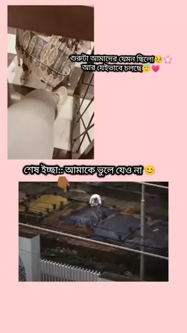 tmke ghire sob kisu😇🌸💗😊 . . . #ফরইউতে_দেখতে_চাই #tiktokbangladesh #foryoupage 