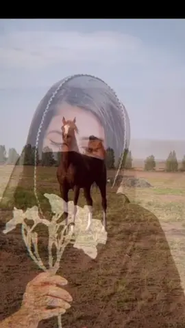 #في هذا اليوم 