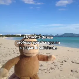 –, mmeo #creatorsearchinsights #tiktok #viral #fyp #fyyyyyyyp 