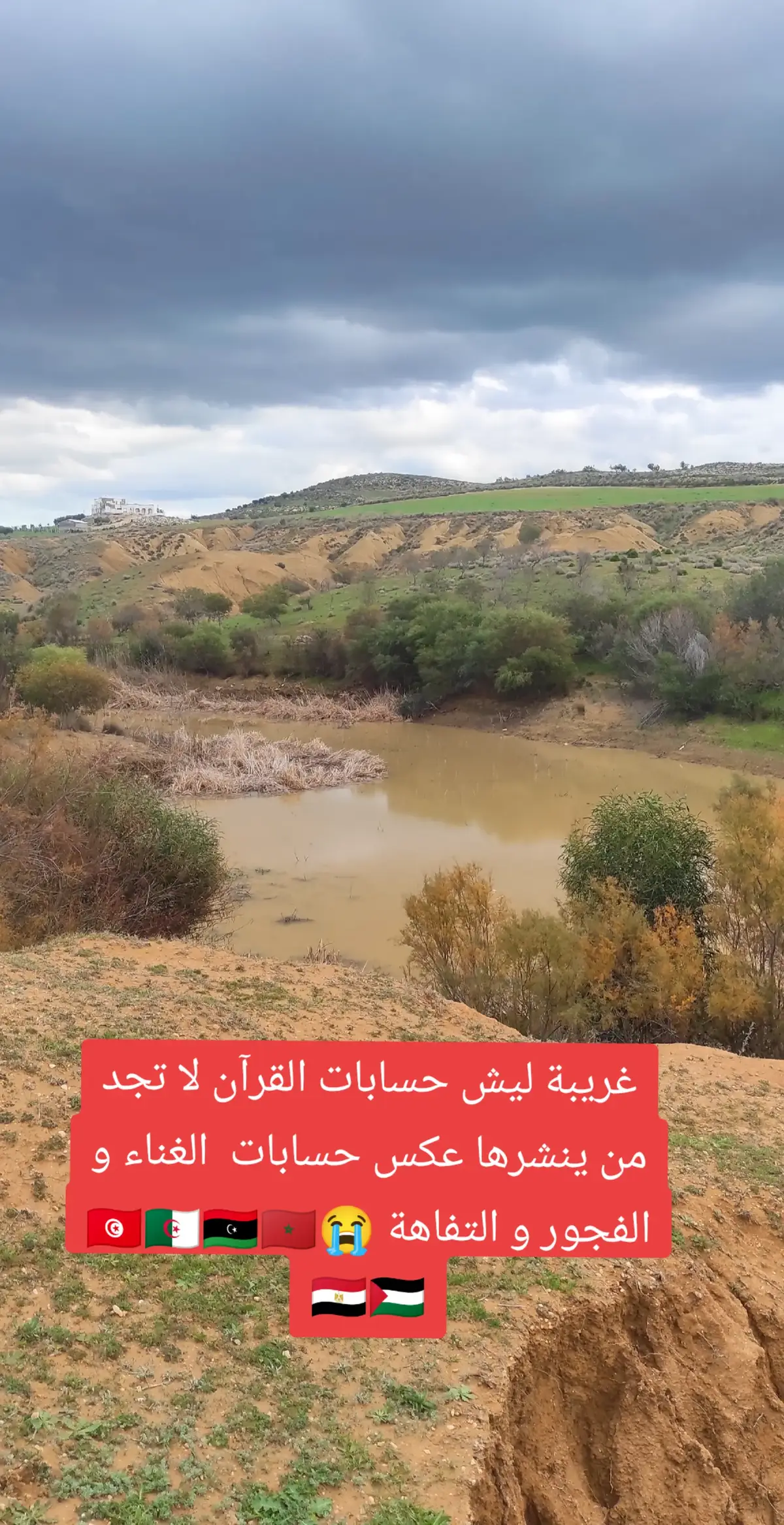 #creatorsearchinsights #قران_كريم #قران #foryou #fyp 