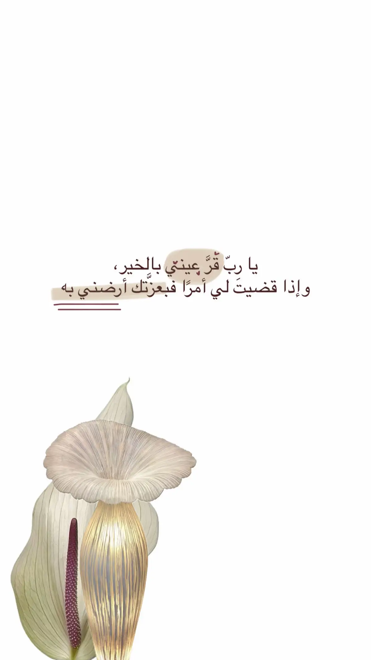 #foryoupage #explorepage #forjannah 