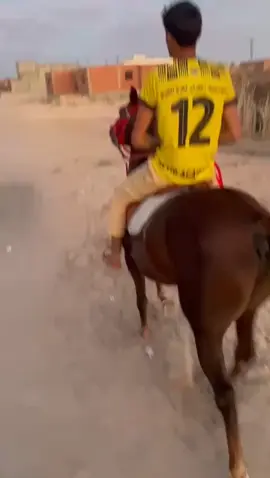 #اللهم_صلي_على_نبينا_محمد #الشعب_الصيني_ماله_حل😂😂 #خيل_عربي_اصيل #زعفران #مدنين🧡💛📍_جرجيس_بنڨردان_🧿جربة_بنخداش 