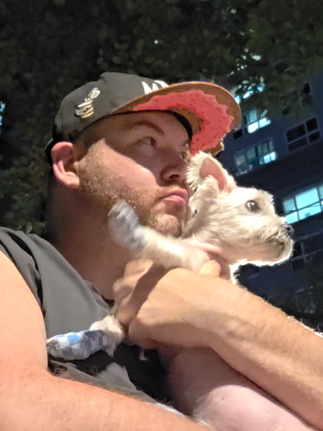 The price you pay for years of love and friendship. #dogloss #petlossgrief #petloss 