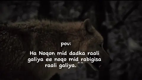 factt🖤 #viraal #fyp #foryou 