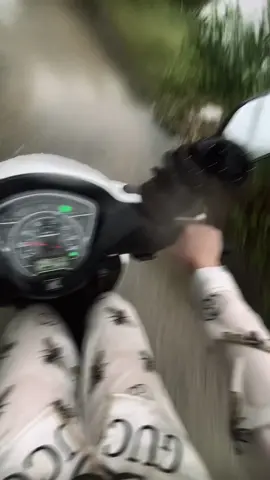 Sống cô độc chết cô đơn 👍