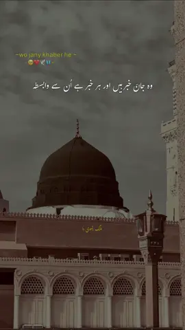 وہ جانے خبر ہیں اور ہر خبر ہے ان سے وابسطہ🥹❤️🦋#poetry_status #grow_up #following_me #viral_video #followers_ 
