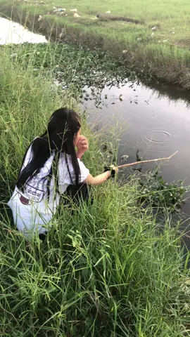 #កំមាត់ផ្អើត្រីអញ់ 😂😂#សុំ❤️ម្នាក់មួយមកok🙏❤️❤️ 