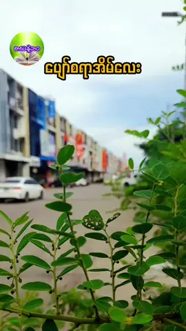 #စာပေ #စာပေချစ်သူ #myanmartiktok🇲🇲🇲🇲 #tiktok#စာပေနဲ့ဘဝ 