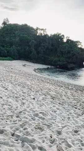 🫂 #pelampiasan2 #pantaisraupacitan 