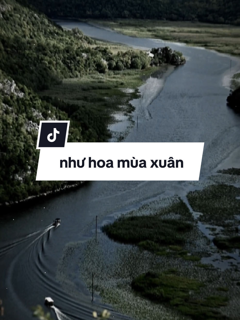 Ô kìa mùa xuân đơm hoa mùa cây trái, nắng chiếu lấp lánh bên cành ban #CapCut #nhachaymoingay #vandat #pioneertemplate #capcutpioneer 