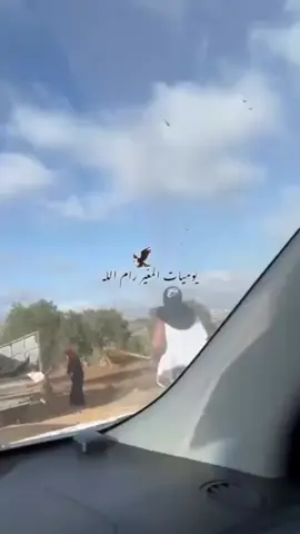 Seorang peneroka haram Israel menyerang seorang wanita Palestin yang memetik buah zaitun di Al-Ghayr, utara Ramallah.   Inilah sikap pengecut peneroka haram yg hanya berani terhadap wanita, org tua serta kanak2. 