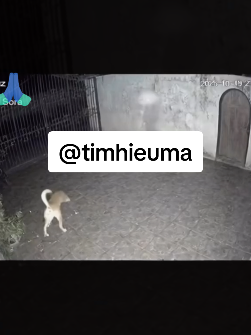 Bà về thăm sau 45 ngày  #ghost #xuhuongtiktok #horror 