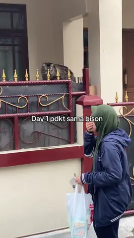 gemeeyyy #life #kucinglucu #kucingtiktok #pov #fypage 