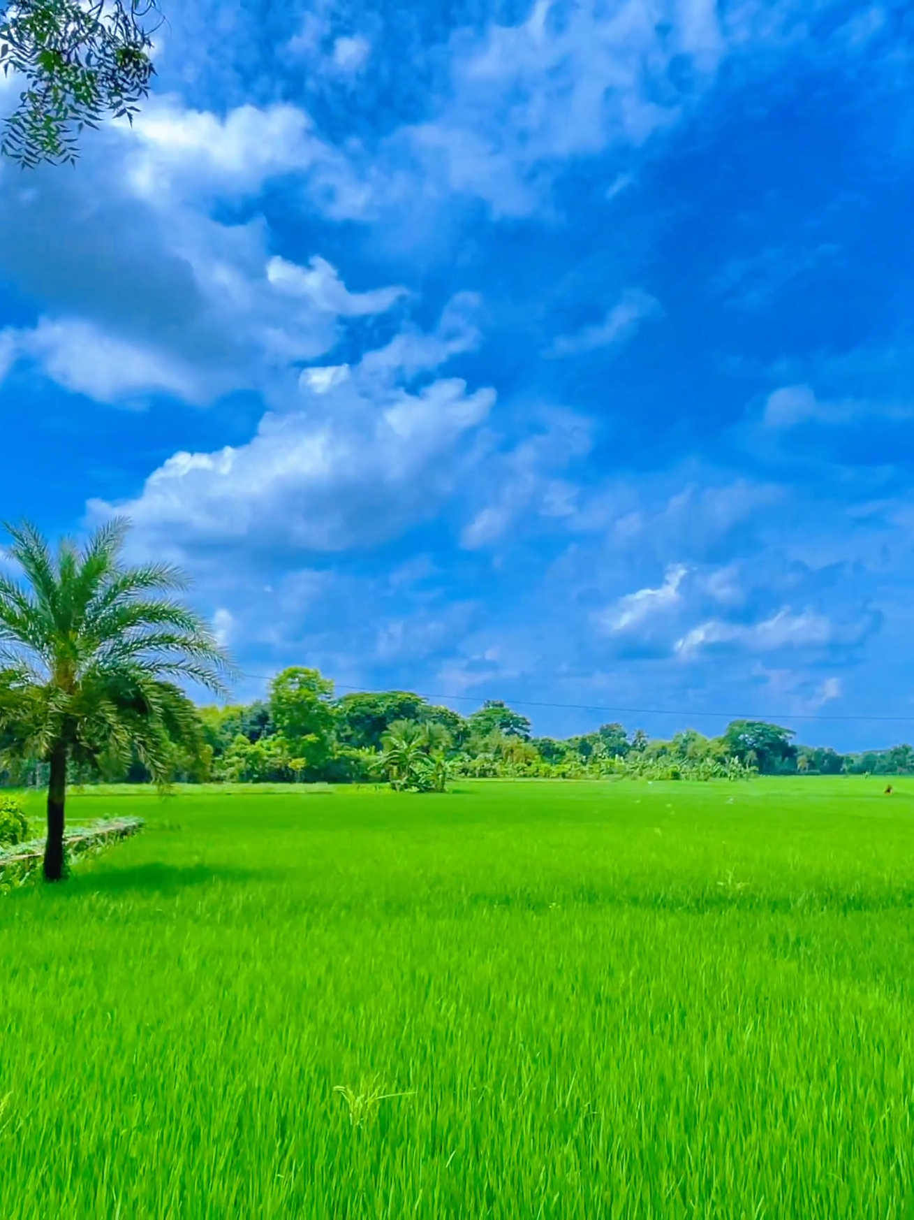 বদলায় তো সবকিছু কিন্তু আমরা সময়কে দোষারোপ করি.!❤️‍🩹#প্রকৃতি #fyp #sky #viral #foryouu 