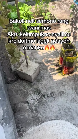 Raa fighter rasah nowo 👌#storykicaumania #kicaumanianusantara #muraibatuindonesia #cendetjatim #kicaumania 