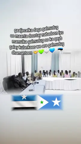 galmudug nimo naso dhaweya habar gidirey😀🤝🇪🇪💙🤍💚 #galmudugnimo💙🤍💚 #galmudug🇪🇪 #geeljecelgirl #gabarhiiran🐪🇪🇪 #gaaljecel 