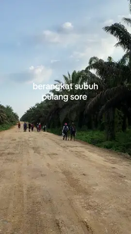 semangat untuk kita semua 🌘 #lembur#kerjasawit#parapejuangrupiah#kalimantantimur#fyppppppppppppppppppppppp