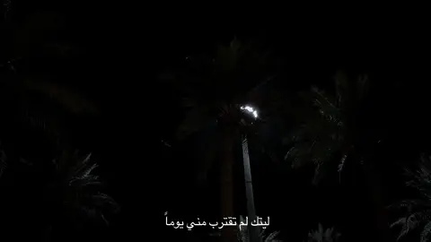 ليتك … #اكسبلور #ماجد_المهندس #ليل 