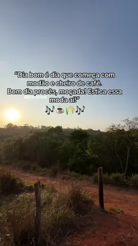 Bom dia domingo 🎶🎶☕️!! #bomdiaaaaa #bomdia #creatorsearchinsights #sertanejo #rurallife 