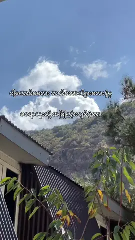 အဲ့လိုကြွားချင်ခဲ့တာ”🫶🏻 #crd #fypシ゚viral🖤tiktok #mgchitrex09 #fypppppppppppppppppppppppp 