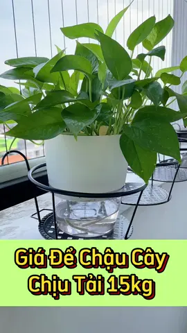 Kệ Để Chậu Cây Treo Ban Công, Hàng Rào, Cửa Sổ #chaucaycanh #kedecaycanh #cayxanh #chaucay 