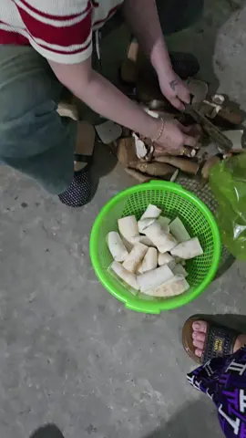 có phải ko ạ 