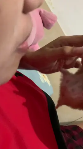 Selalu gemeeesss sama nih bocah #fyp #hamstergang #hamstersoftiktok #hamster #syrianhamster 