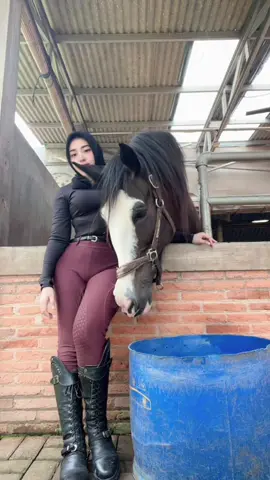 Yoloyolo😭🤣#dellaceblong #equestrian #fyp 