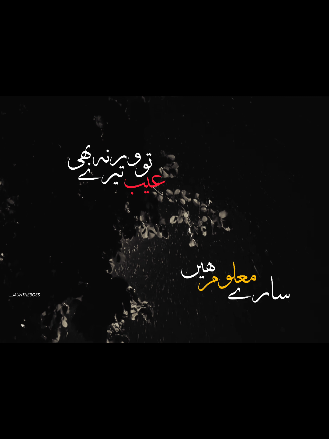 Warna To Tere Aeb Bhi Maloom Hain Sarey!..❤️‍🩹 #foryou  #foryoupagе  #fyp  #aesthetic  #poetry 