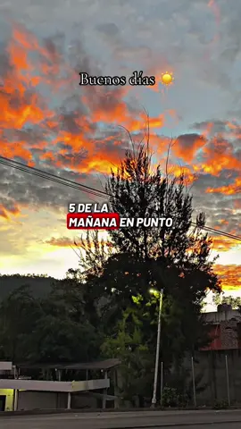 Buenos días Campeón se que estás cansado pero recuerda que ay metas por delante#paratiiiiiiiiiiiiiiiiiiiiiiiiiiiiiii #motivacion #buenosdias #bueniniciodesemana #lunes 