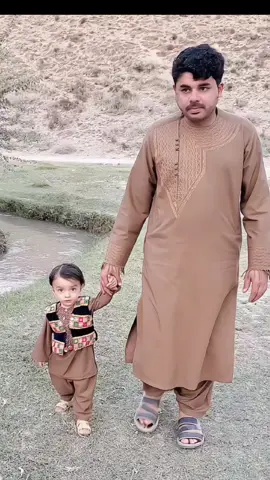 #creatorsearchinsights #LIVEIncentiveProgram #GoLIVEGrowFast #PaidPartnership 