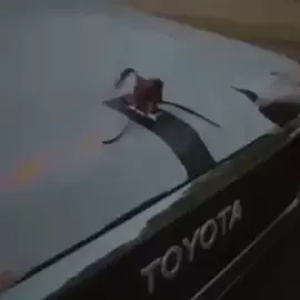 #لايكات_الاكسبلور_متابعه 