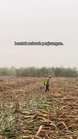 beda orang beda cerita👋🏻 #petaniindonesia🇮🇩🇮🇩🇮🇩🌿🌿 #kediri24jam #petanimuda #petanigenz #mudaberkarya 