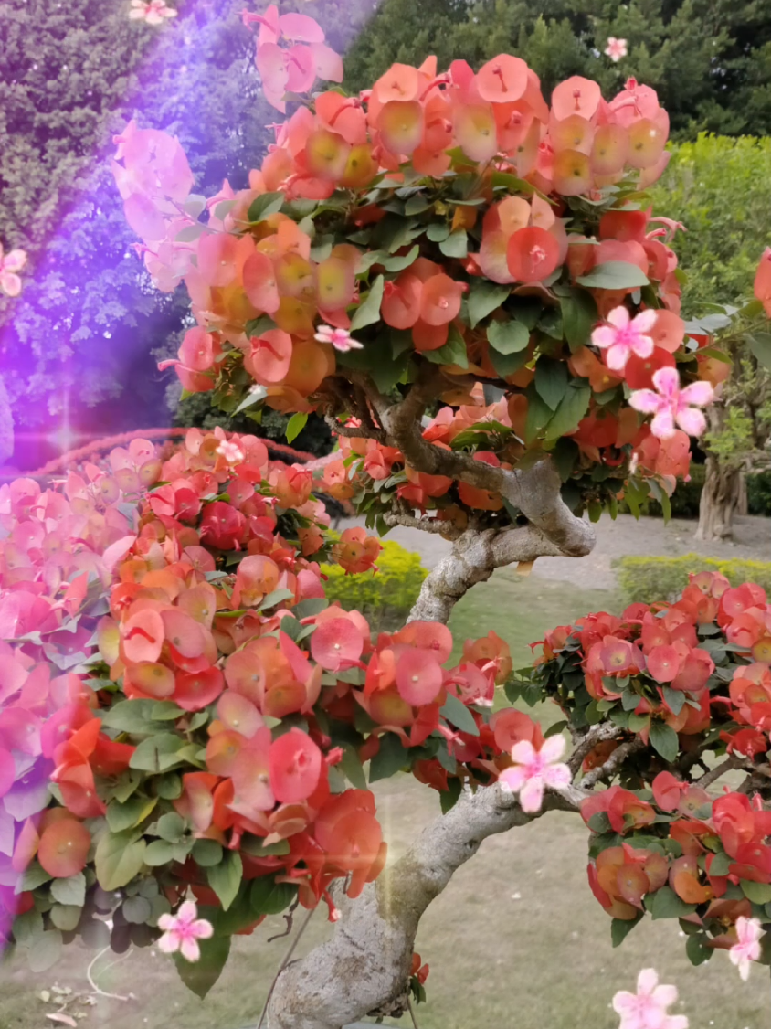 #CapCut  #tamtrang @💔😌💔Bích Tuyền 1982💔😌💔 @💔😌Bích Tuyền 1982😌💔 ních 2 