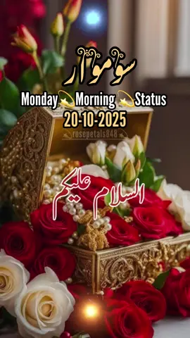 Good Morning Subah Bakhair صباح الخیر,Monday,Status🤲❤️🌺🍂🌹🥀🌅.                        #goodmorning#foryoupagе#fyp#standwithkashmire#صباح_الخير