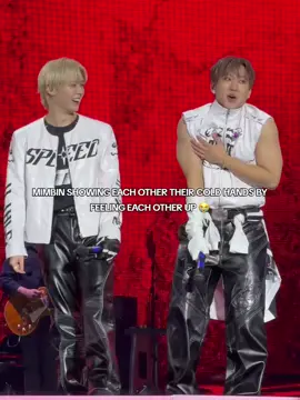 #CHANGBIN #LEEKNOW #straykidseverywhereallaroundtheworld #straykids #fyp 