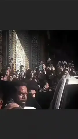 الهيبة الهاشميه السيد مقتدى الصدر اعزه الله #مقاطعون 