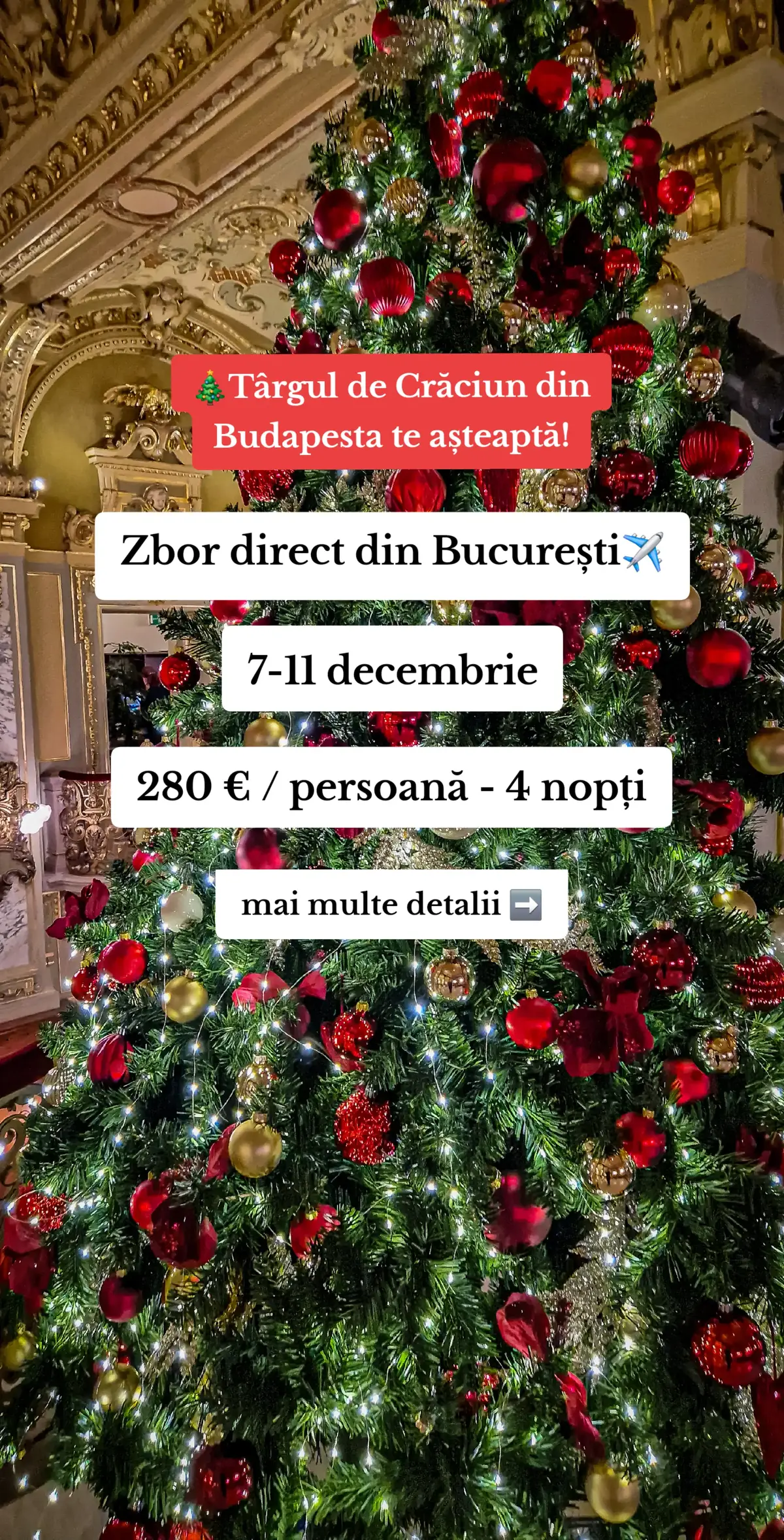 Zbor direct din București, cazare la hotel de 4 stele și transfer privat inclus. Pentru detalii, alte oferta sau rezervări, mesaj în DM✨️🎄 #Budapesta #targdecraciun #citybreak #călătorii #craciun @journeyhub.ro | AgentieTurism 